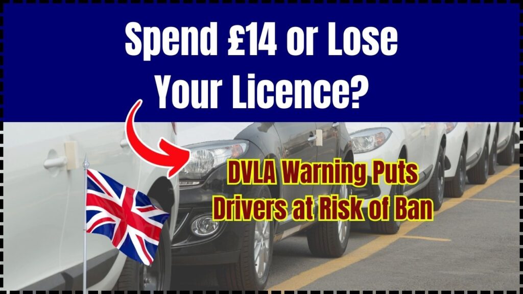 Spend 14 or Lose Your Licence DVLA Warning Puts Drivers at Risk of Ban