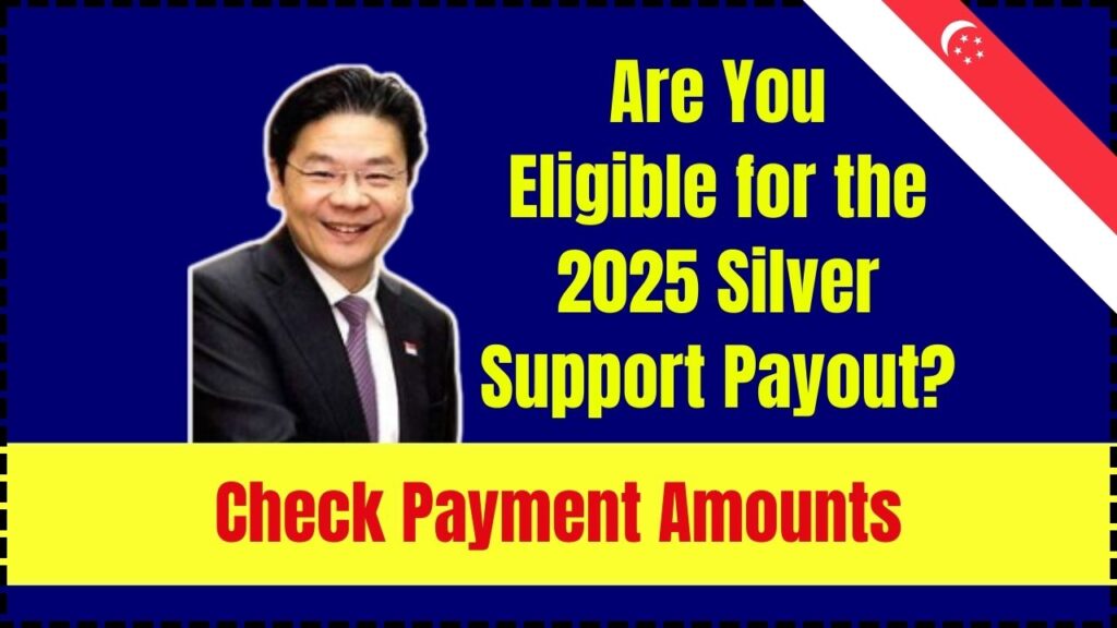 Are You Eligible for the 2025 Silver Support Payout? Check Payment Amounts & Payment Date 1 Are You Eligible for the 2025 Silver Support Payout