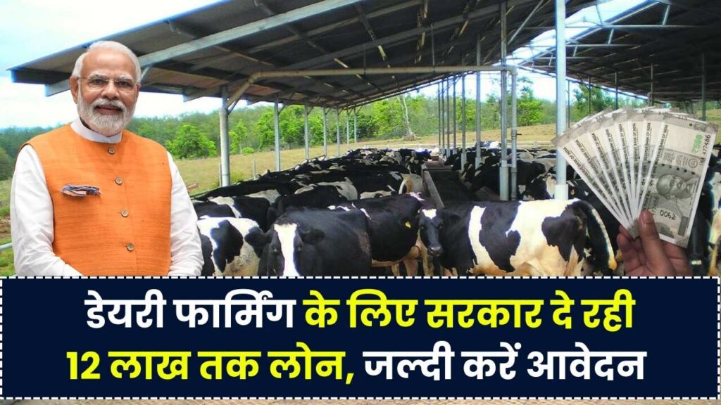 Dairy Farming Yojana: दूध कारोबार शुरू करने वालों को मिलेगा 12 लाख तक लोन | ऐसे करें अप्लाई 1 Dairy Farming Yojana: दूध कारोबार शुरू करने वालों को मिलेगा 12 लाख तक लोन | ऐसे करें अप्लाई