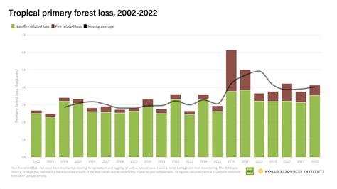 UK Homeowners With Oak Trees Warned: New Rule Could Mean £20,000 Fine 3 Forest Loss Chart
